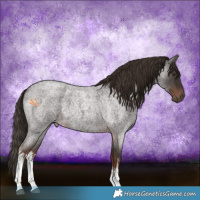 Horse Color:White Spotted Liver Red Roan 
