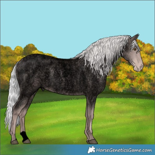 Horse Color:Void Platinum Silver Brown Roan Pearl 