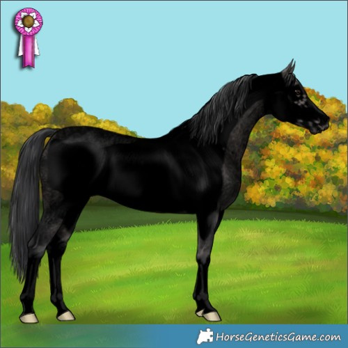 Horse Color:Void Platinum White Spotted Brown Roan Dun Frame 
