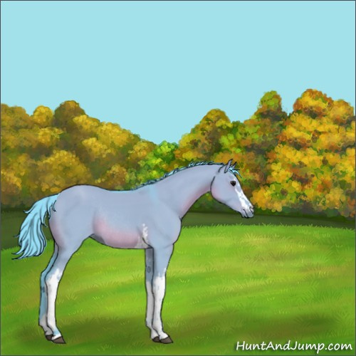 Horse Color:Watercolor White Spotted Smoky Grullo Rabicano 