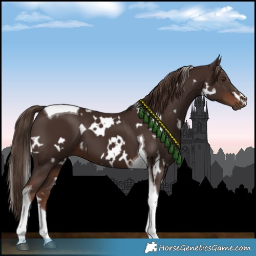 Horse Color:White Spotted Liver Chestnut Tobiano 