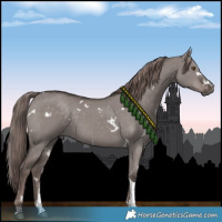 Horse Color:Platinum White Spotted Liver Red Dun Tobiano