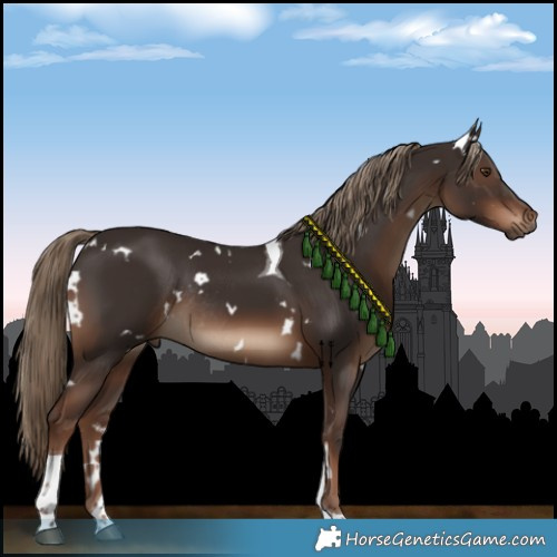 Horse Color:White Spotted Liver Chestnut Tobiano Rabicano 