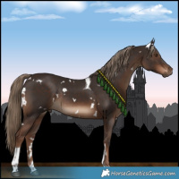 Horse Color:White Spotted Liver Chestnut Tobiano Rabicano
