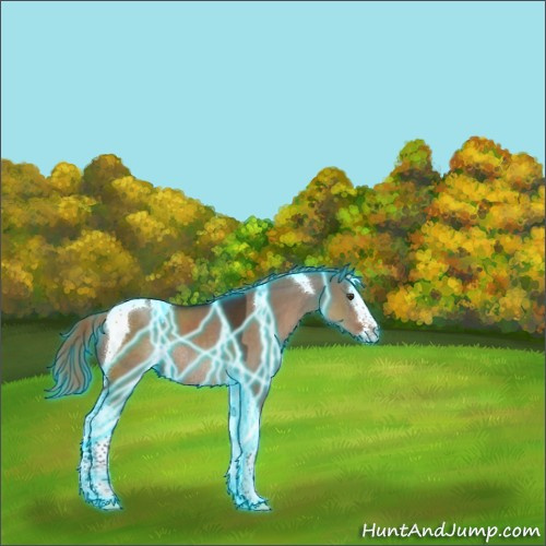 Horse Color:Thunderstruck Liver Red Dun Splash Tobiano Rabicano 