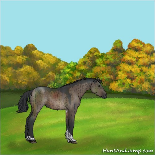 Horse Color:Brown Dun Tobiano Rabicano Brindle 