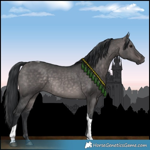 Horse Color:Platinum Brown Dun Tobiano Rabicano 