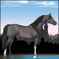 Horse Color:Platinum Brown Dun Tobiano Rabicano