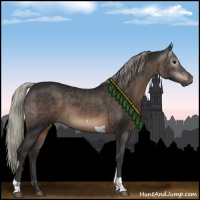 Horse Color:Gray Silver Black Tobiano Rabicano 