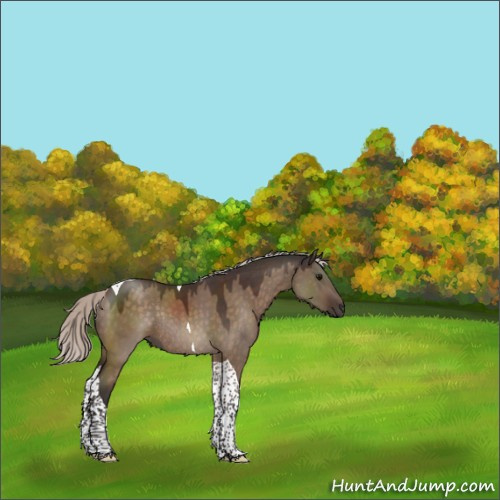 Horse Color:Silver Brown Dun Tobiano Rabicano 