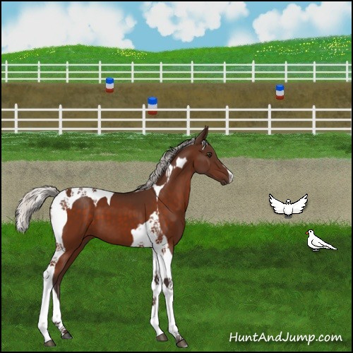 Horse Color:Silver Brown Tobiano 