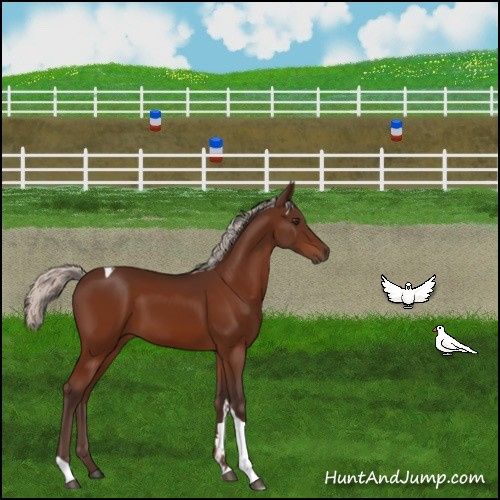 Horse Color:Silver Brown Tobiano 