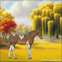 Horse Color:Chocolate Palomino Tobiano 