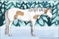 Horse Color:Silver Bay Dun Splash Tobiano