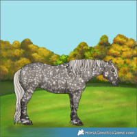 Horse Color:Gray Silver Grullo Snowflake Varnish Brindle 