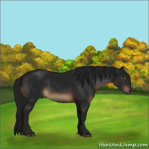 Horse Color:Gray Brown 