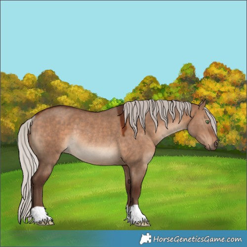 Horse Color:Silver Brown Dun Rabicano 