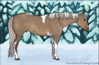 Horse Color:Silver Grullo Tobiano