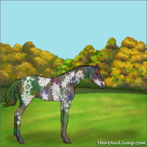 Horse Color:Nacre Liver Chestnut Ice Rabicano 