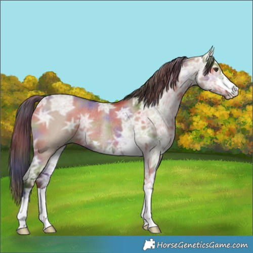Horse Color:Nacre Liver Red Dun Ice Rabicano 