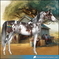 Horse Color:White Spotted Brown