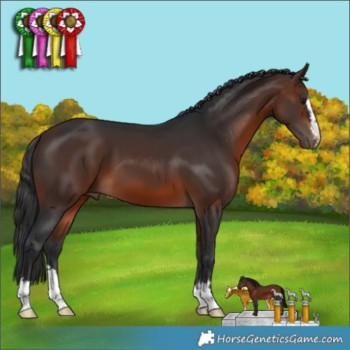 Horse Color:Brown 