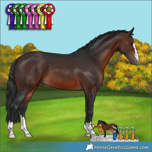 Horse Color:Brown 