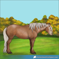 Horse Color:Gray Silver Black Pearl Rabicano 