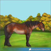 Horse Color:Brown 