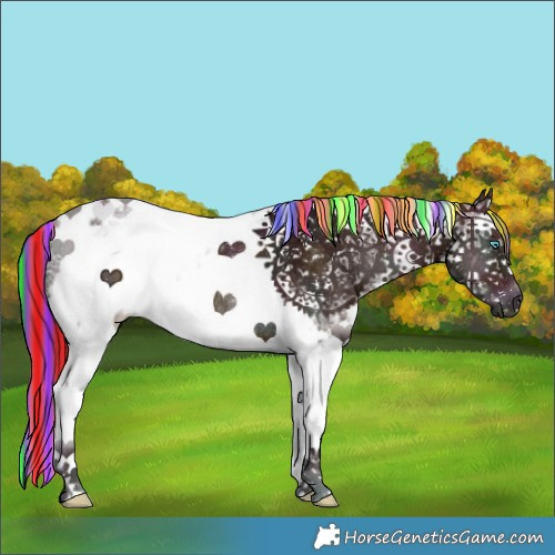 Horse Color:Painted White Spotted Midnight Chocolate Bay Onyx Splash Tobiano Frame Rabicano 
