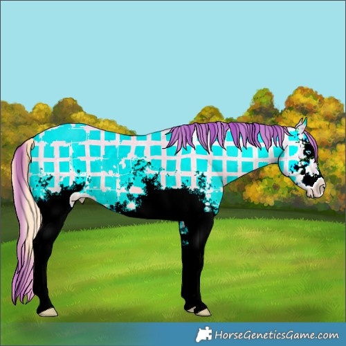 Horse Color:Plaid  White Spotted Classic Cream Champagne Ice Pearl Dun Tobiano Rabicano 