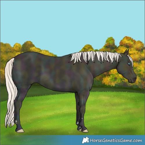 Horse Color:Midnight Cremello Ice 