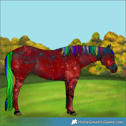 Horse Color:ERROR: UNKNOWN ANOMALY