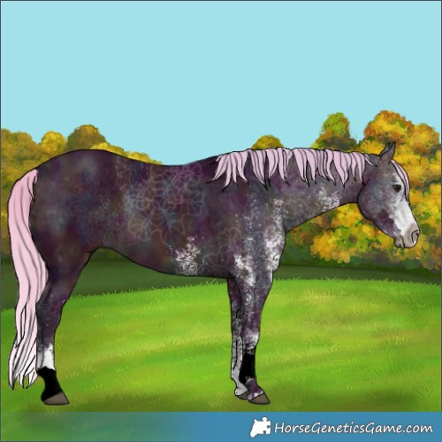 Horse Color:Watercolor White Spotted Midnight Chocolate Silver Brown Ice Splash 