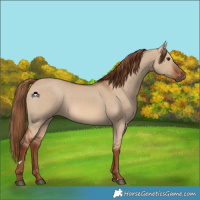 Horse Color:Red Dun 
