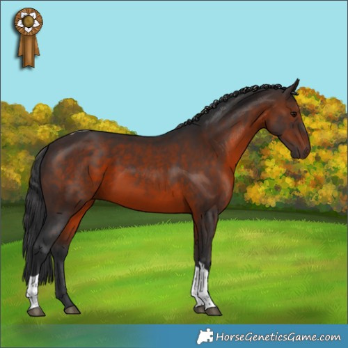 Horse Color:Brown Tobiano 