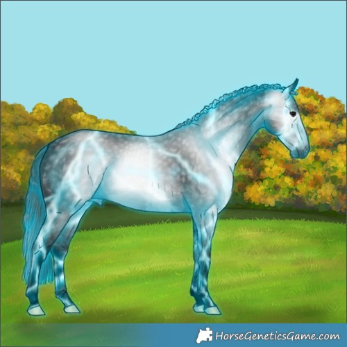 Horse Color:Gray Void Thunderstruck White Spotted Black 