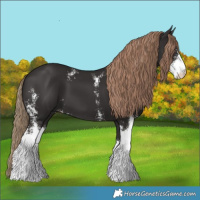 Horse Color:Liver Chestnut Sabino