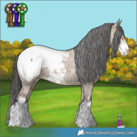 Horse Color:Liver Red Dun Sabino Snowcap Rabicano Brindle 