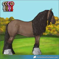 Horse Color:Liver Red Dun 