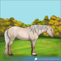 Horse Color:Silver Grullo Pearl Varnish Rabicano Brindle 