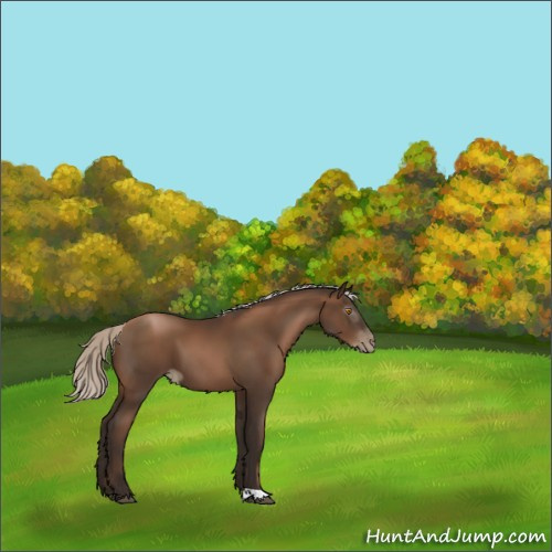 Horse Color:Gray Silver Black Pearl 