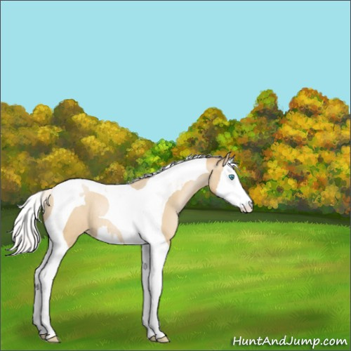 Horse Color:Silver Smoky Black Pearl Splash Tobiano Rabicano 