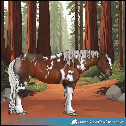 Horse Color:White Spotted Silver Brown Tobiano 