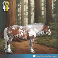 Horse Color:White Spotted Silver Brown Sabino 