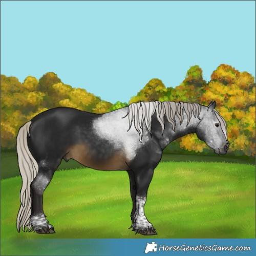 Horse Color:Gray Silver Buckskin Tobiano 