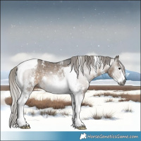 Horse Color:Gray Silver Brown Dun Sabino Tobiano 