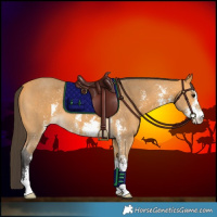 Horse Color:Buckskin Sabino