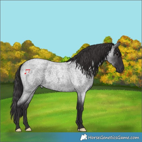 Horse Color:Smoky Blue Roan 