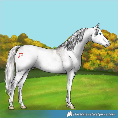 Horse Color:Gray Silver Brown Dun Splash Tobiano Rabicano 